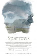 Watch Sparrows Solarmovie