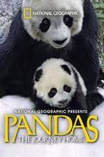 Watch Pandas: The Journey Home Solarmovie
