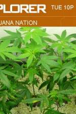 Watch Marijuana Nation Solarmovie