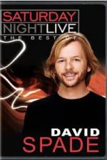 Watch Saturday Night Live The Best of David Spade Solarmovie