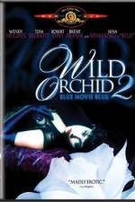 Watch Wild Orchid II Two Shades of Blue Solarmovie