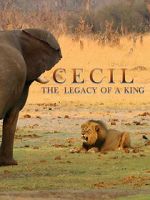 Watch Cecil: The Legacy of a King Solarmovie