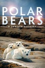 Watch Polar Bears: A Summer Odyssey Solarmovie