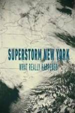 Watch Superstorm New York: What Really Happened Solarmovie
