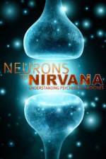 Watch Neurons to Nirvana Solarmovie