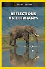 Watch Reflections on Elephants Solarmovie