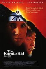 Watch The Karate Kid Part III Solarmovie