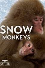 Watch Nature: Snow Monkeys Solarmovie