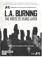 Watch L.A. Burning: The Riots 25 Years Later Solarmovie