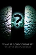 Watch What Is Consciousness? What Is Its Purpose? Solarmovie