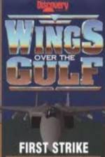 Watch Wings Over the Gulf Vol  1  First Strike Solarmovie