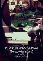 Watch Blackbird Descending Solarmovie