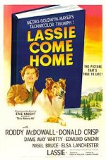 Watch Lassie Come Home Solarmovie