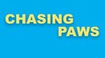 Watch Chasing Paws (Short 2020) Solarmovie