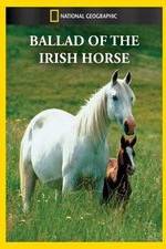 Watch Ballad of the Irish Horse Solarmovie