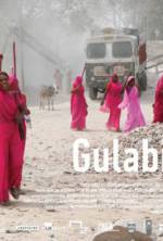 Watch Gulabi Gang Solarmovie