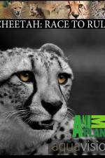 Watch Cheetah: Race to Rule Solarmovie