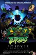 Watch Teenage Mutant Ninja Turtles Turtles Forever Solarmovie