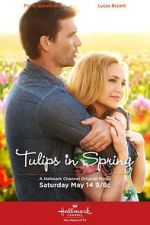 Watch Tulips in Spring Solarmovie