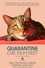 Watch Quarantine Cat Film Fest Solarmovie