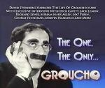 Watch The One, the Only... Groucho Solarmovie