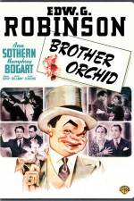 Watch Brother Orchid Solarmovie