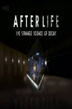 Watch After Life: The strange Science Of Decay Solarmovie