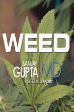 Watch CNN Weed Sanjay Gupta Report Solarmovie