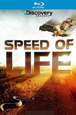Watch Speed of Life Solarmovie