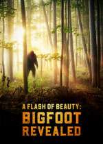 Watch A Flash of Beauty: Bigfoot Revealed Solarmovie