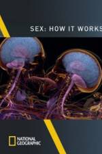Watch Sex How It Works Solarmovie