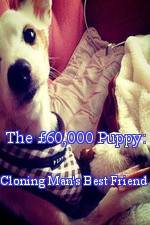 Watch The 60,000 Puppy: Cloning Man's Best Friend Solarmovie