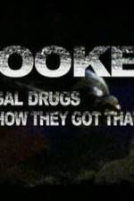 Watch Hooked Illegal Drugs & How They Got That Way - Opium Morphine and Heroin Solarmovie