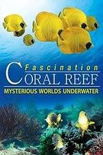 Watch Fascination Coral Reef: Mysterious Worlds Underwater Solarmovie