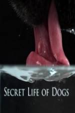 Watch Secret Life of Dog Solarmovie