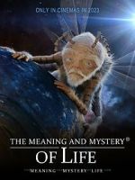 Watch The Meaning and Mystery of Life Solarmovie