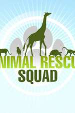 Watch Animal Rescue Squad Solarmovie