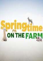 Springtime on the Farm solarmovie