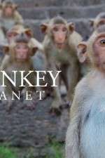 Watch Monkey Planet Solarmovie