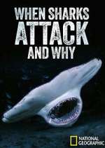 Watch When Sharks Attack... And Why Solarmovie