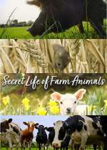 Watch Secret Life of Farm Animals Solarmovie