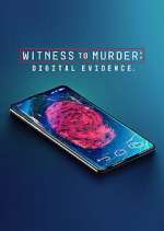 witness to murder: digital evidence tv poster