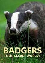 badgers: their secret worlds tv poster