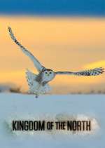 Watch Kingdom of the North Solarmovie