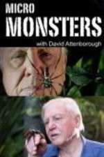 Watch Micro Monsters 3D with David Attenborough Solarmovie
