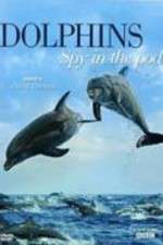 Watch Dolphins: Spy in the Pod Solarmovie