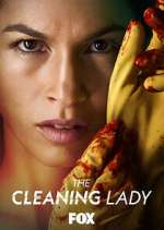 Watch The Cleaning Lady Solarmovie