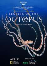 Secrets of the Octopus solarmovie