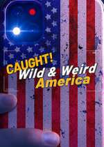 Watch Wild & Weird America Solarmovie