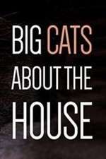 Watch Big Cats About the House Solarmovie
